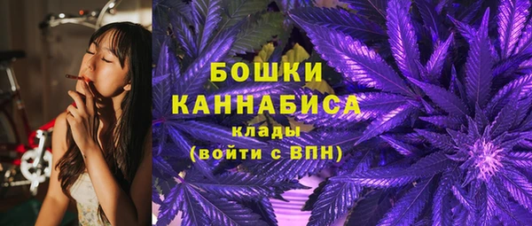 кокс Богородицк