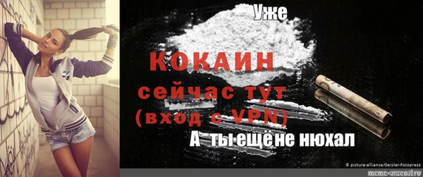 PSILOCYBIN Богородск