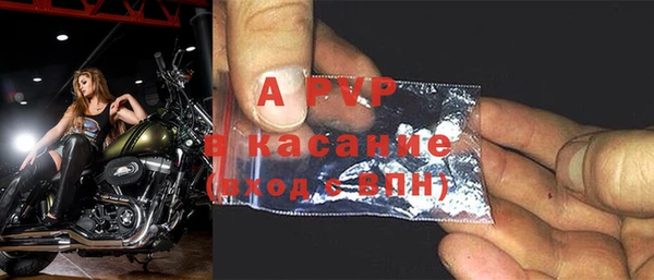 спайс Богданович