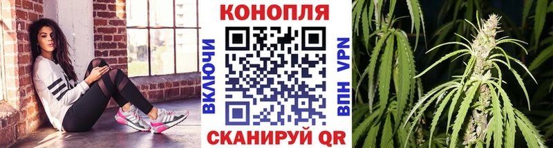 Купить закладки  Андреаполь  Бошки Шишки OG Kush 